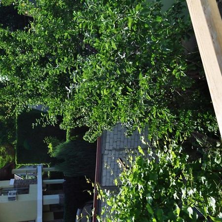 Dacha V Arkadii Odessa Exterior foto