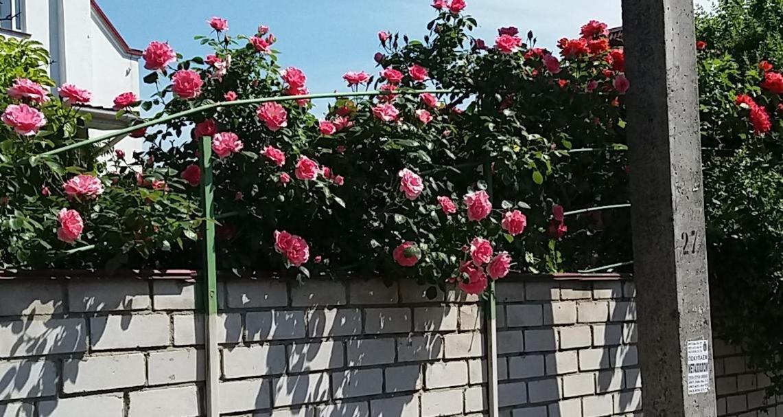 Dacha V Arkadii Odessa Exterior foto