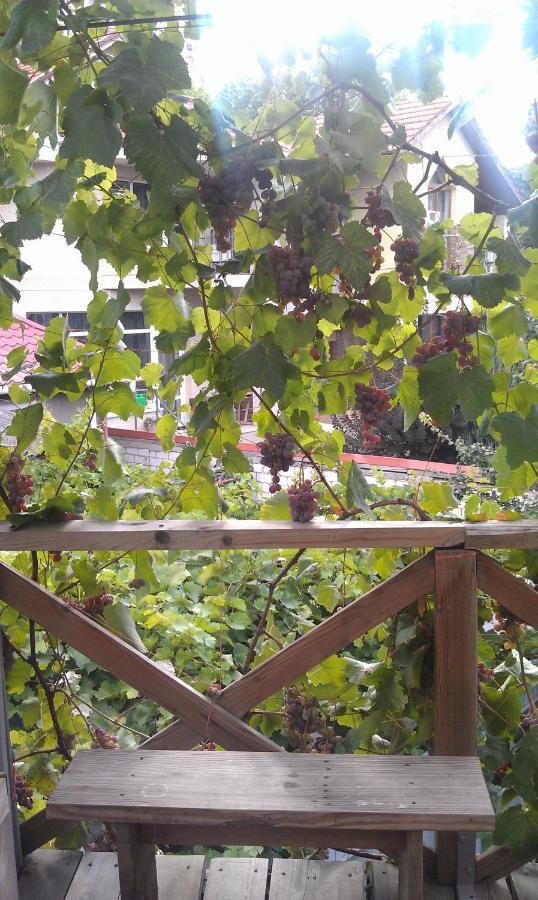Dacha V Arkadii Odessa Exterior foto